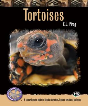 Cover of the book Tortoises by Terry Ann Barber