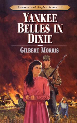 Cover of the book Yankee Belles in Dixie by Charles C. Ryrie