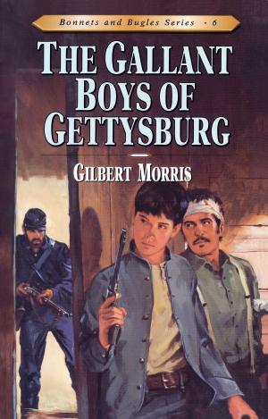 Cover of the book The Gallant Boys of Gettysburg by Irving L. Jensen