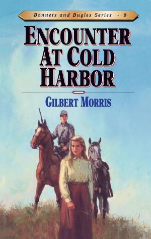bigCover of the book Encounter at Cold Harbor by 