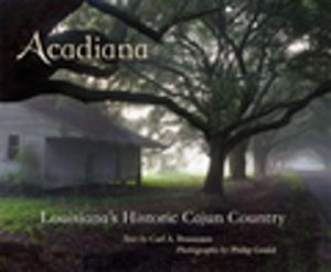 Cover of the book Acadiana by James Wilcox