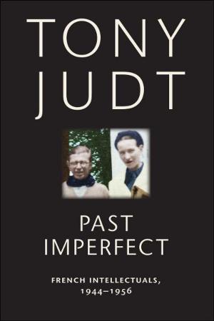 Cover of the book Past Imperfect by Geert Jan Van Gelder