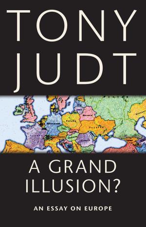 Cover of the book A Grand Illusion? by Meg Wesling