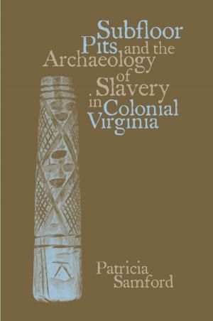 Cover of the book Subfloor Pits and the Archaeology of Slavery in Colonial Virginia by Ales Hrdlicka