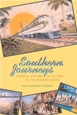 Cover of the book Southern Journeys by Lance Olsen