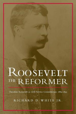 Cover of the book Roosevelt the Reformer by Janis P. Stout