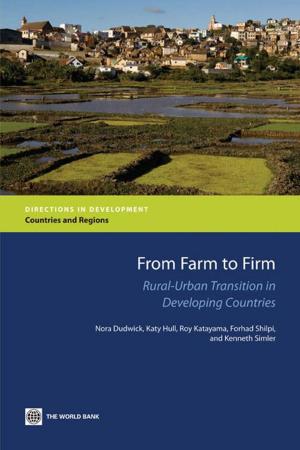 Book cover of From Farm to Firm: Rural-Urban Transition in Developing Countries