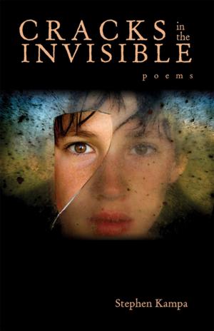 Cover of Cracks in the Invisible by Stephen Kampa, Ohio University Press