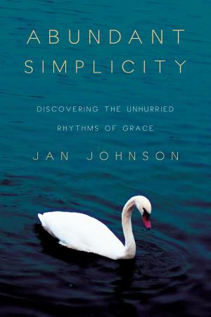Cover of the book Abundant Simplicity by N. T. Wright