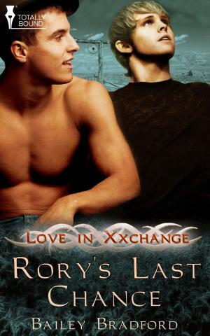 Cover of the book Rory's Last Chance by JC Holly