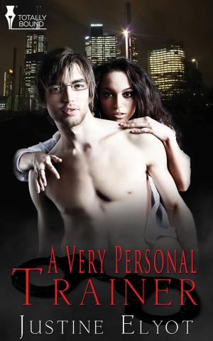 Cover of the book A Very Personal Trainer by Desiree Holt