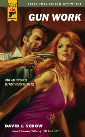 Cover of the book Gun Work by Daniel Godfrey