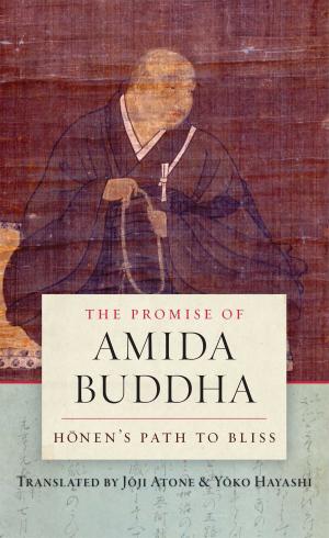 Cover of the book The Promise of Amida Buddha by Anyen Rinpoche