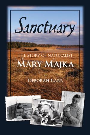 Cover of the book Sanctuary by Mark Anthony Jarman