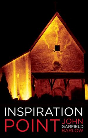Cover of the book Inspiration Point by Colleen Murphy