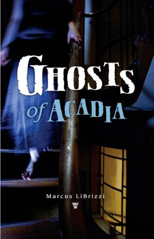 Book cover of Ghosts of Acadia