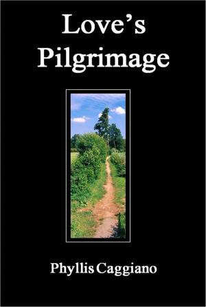 Cover of the book Love's Pilgrimage by Mona Morstein