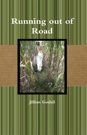 Book cover of Running out of Road