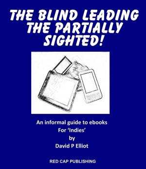 Book cover of The Blind leading the partially sighted!