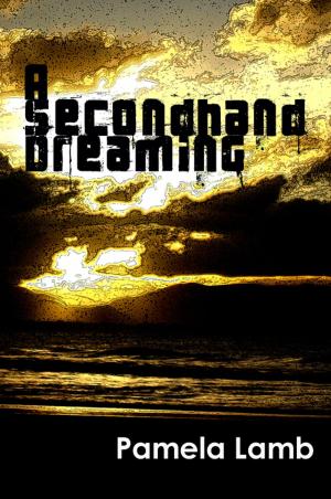 bigCover of the book A Secondhand Dreaming by 