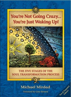 Cover of the book You’re Not Going Crazy . . . You’re Just Waking Up! by Corrado Ghinamo