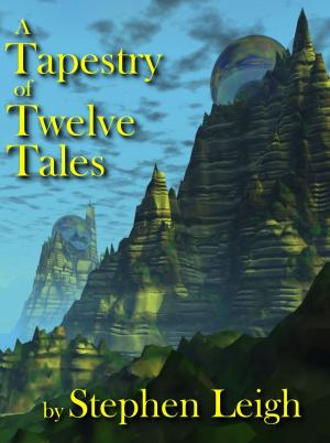 Book cover of A Tapestry of Twelve Tales