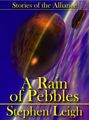 Book cover of A Rain of Pebbles