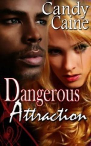 Cover of the book Dangerous Attraction by Candy Caine