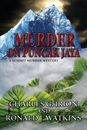 Book cover of Murder on Puncak Jaya
