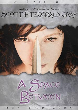 Cover of the book A Space Between by N. R. Hairston