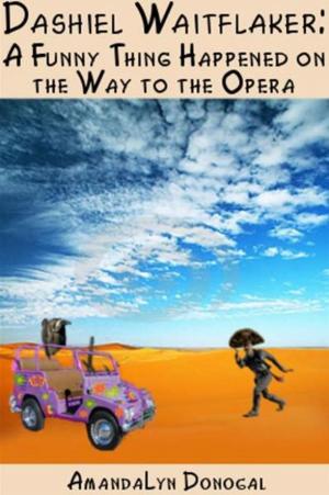 Cover of the book Dashiel Waitflaker: A Funny Thing Happened on the Way to the Opera by Tom Bryde
