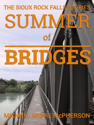Cover of the book Summer of Bridges by Anca Rotar