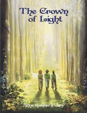 Book cover of The Crown of Light