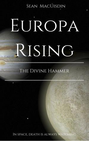 Cover of the book Europa Rising: The Divine Hammer by Keith B Walters