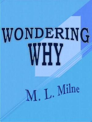 Cover of the book Wondering Why by Jamie Logie
