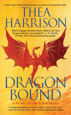 Cover of the book Dragon Bound by Nicole Beland