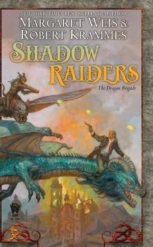 Cover of the book Shadow Raiders by ElizaBeth Gilligan