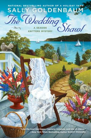Cover of the book The Wedding Shawl by Monica Ferris