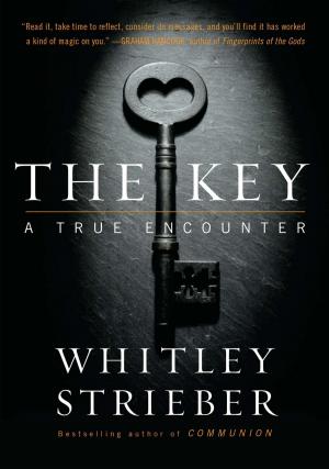 Cover of the book The Key by Frederick Forsyth