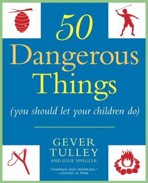 Cover of the book 50 Dangerous Things (You Should Let Your Children Do) by Rhys Bowen