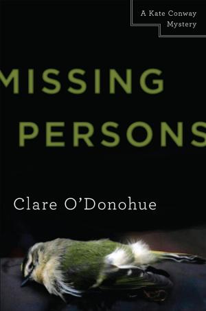 Cover of the book Missing Persons by Jorge Cham, Daniel Whiteson