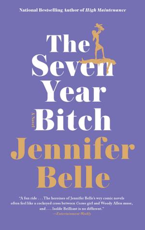 Cover of the book The Seven Year Bitch by Julie Hyzy
