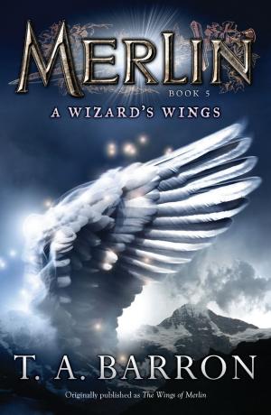 Cover of the book The Wizard's Wings by David A. Adler
