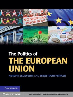 bigCover of the book The Politics of the European Union by 