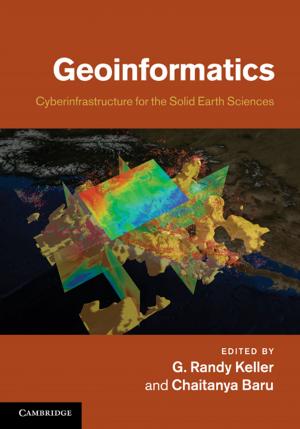 Cover of the book Geoinformatics by J. P.  Singh