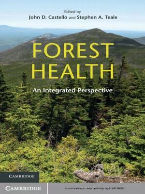 Cover of the book Forest Health by Maciej J. Capiński, Ekkehard Kopp