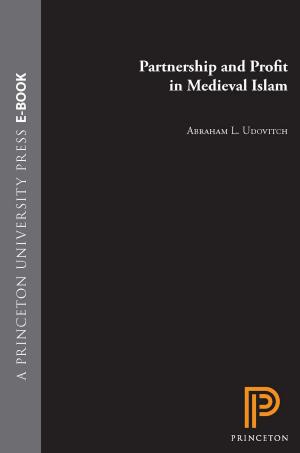 Cover of the book Partnership and Profit in Medieval Islam by Victoria Kahn