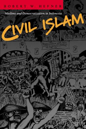 Cover of the book Civil Islam by Nicholas M. Katz