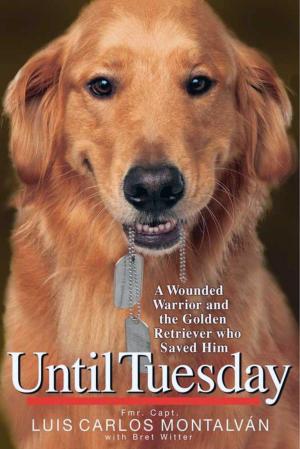 Cover of the book Until Tuesday by Larry Tagg