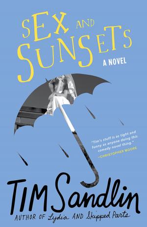 Cover of the book Sex and Sunsets by Christine Fonseca